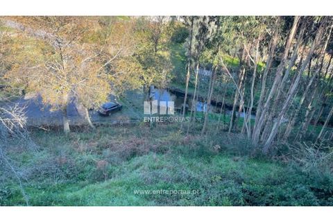 Terra a Areosa, Viana do Castelo, Areosa - € 60.000 | Ref: VCC14195 - foto 11