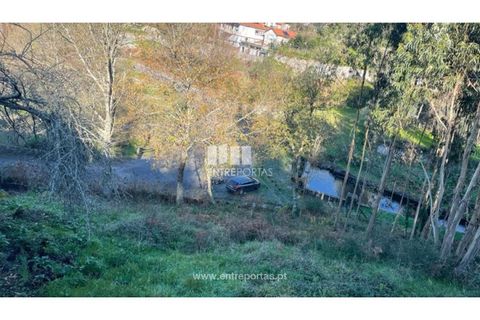 Terra a Areosa, Viana do Castelo, Areosa - € 60.000 | Ref: VCC14195 - foto 17