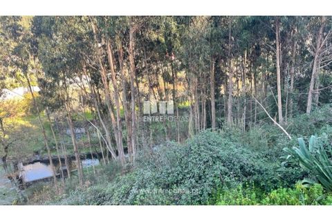 Terra a Areosa, Viana do Castelo, Areosa - € 60.000 | Ref: VCC14195 - foto 19