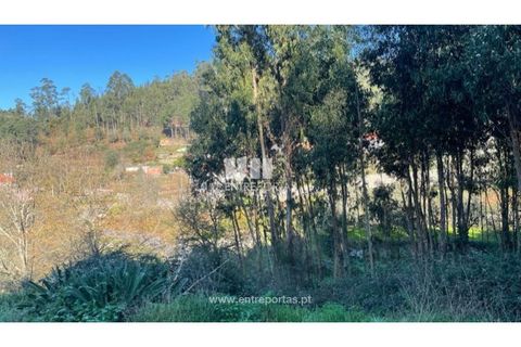 Terra a Areosa, Viana do Castelo, Areosa - € 60.000 | Ref: VCC14195 - foto 20