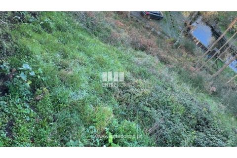 Terra a Areosa, Viana do Castelo, Areosa - € 60.000 | Ref: VCC14195 - foto 27