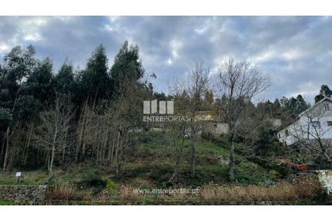 Terra a Areosa, Viana do Castelo, Areosa - € 60.000 | Ref: VCC14195 - foto 29