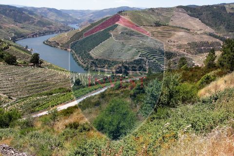 Farm i Tabuaco, Viseu, Tabuaco - € 850.000 | Ref: 2041/V - foto 1