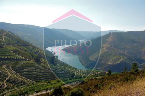 Farm i Tabuaco, Viseu, Tabuaco - € 850.000 | Ref: 2041/V - foto 2
