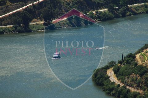 Farm i Tabuaco, Viseu, Tabuaco - € 850.000 | Ref: 2041/V - foto 3