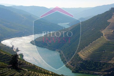 Farm i Tabuaco, Viseu, Tabuaco - € 850.000 | Ref: 2041/V - foto 5