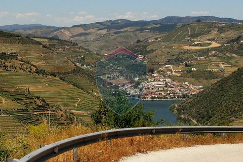 Farm i Tabuaco, Viseu, Tabuaco - € 850.000 | Ref: 2041/V - foto 8