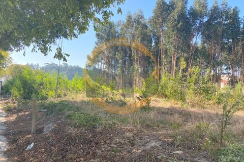 Helårsgrund i Ovar, Aveiro, Ovar - € 765.000 | Ref: T/0801 - foto 3
