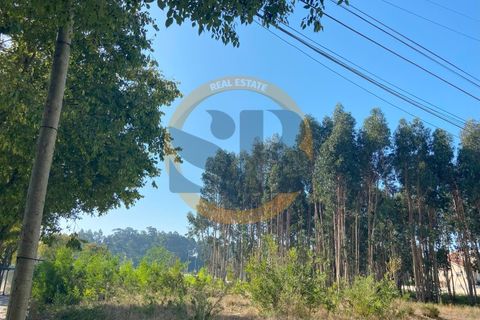 Helårsgrund i Ovar, Aveiro, Ovar - € 765.000 | Ref: T/0801 - foto 4