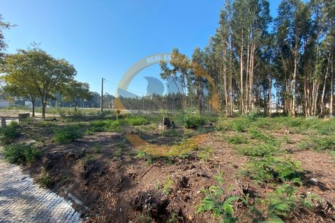 Helårsgrund i Ovar, Aveiro, Ovar - € 765.000 | Ref: T/0801 - foto 5