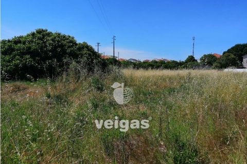 Helårsgrund i Parceiros e Azoia, Leiria, Parceiros e Azoia - € 60.000 | Ref: LIZ-214929 - foto 2