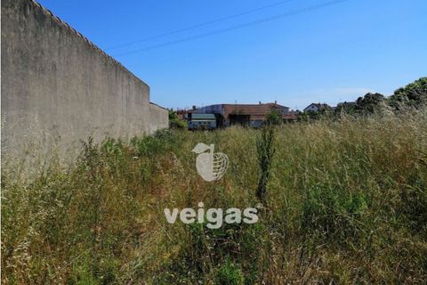 Helårsgrund i Parceiros e Azoia, Leiria, Parceiros e Azoia - € 60.000 | Ref: LIZ-214929 - foto 4