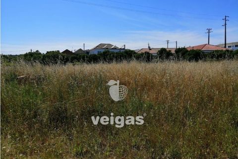 Helårsgrund i Parceiros e Azoia, Leiria, Parceiros e Azoia - € 60.000 | Ref: LIZ-214929 - foto 5