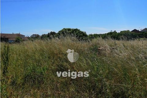 Helårsgrund i Parceiros e Azoia, Leiria, Parceiros e Azoia - € 60.000 | Ref: LIZ-214929 - foto 6