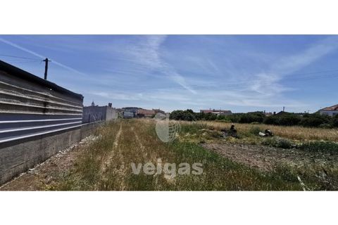 Helårsgrund i Parceiros e Azoia, Leiria, Parceiros e Azoia - € 60.000 | Ref: LIZ-214929 - foto 7