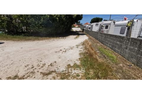 Helårsgrund i Parceiros e Azoia, Leiria, Parceiros e Azoia - € 60.000 | Ref: LIZ-214929 - foto 9