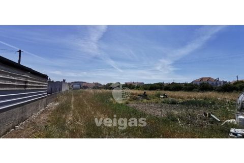 Helårsgrund i Parceiros e Azoia, Leiria, Parceiros e Azoia - € 60.000 | Ref: LIZ-214929 - foto 10