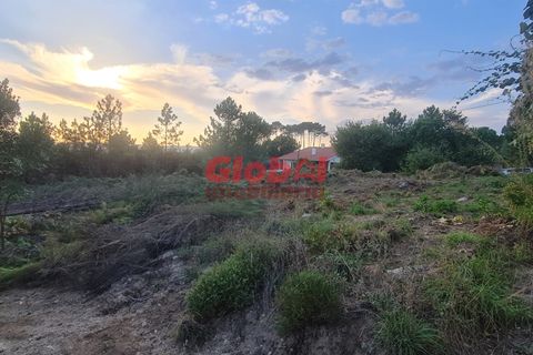 Helårsgrund i Viseu, Viseu, Viseu - € 71.500 | Ref: 189232268 - foto 2