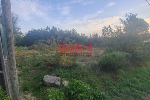 Helårsgrund i Viseu, Viseu, Viseu - € 71.500 | Ref: 189232268 - foto 3
