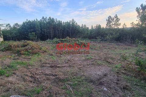 Helårsgrund i Viseu, Viseu, Viseu - € 71.500 | Ref: 189232268 - foto 4