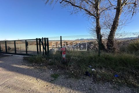 Terra a Vidauban, Var, Vidauban - € 1.650.000 | Ref: 0485 - foto 3