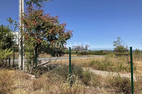 Terra a Vidauban, Var, Vidauban - € 1.650.000 | Ref: 0485 - foto 4