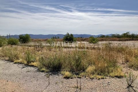Terra a Vidauban, Var, Vidauban - € 1.650.000 | Ref: 0485 - foto 5