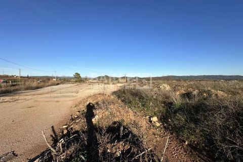 Terra a Vidauban, Var, Vidauban - € 1.650.000 | Ref: 0485 - foto 9