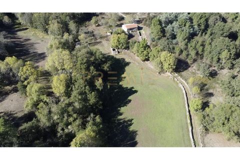 Farm i Vila Real, Vila Real, Vila Real - € 154.000 | Ref: MAS_78 - foto 2
