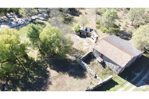 Farm i Vila Real, Vila Real, Vila Real - € 154.000 | Ref: MAS_78 - foto 4