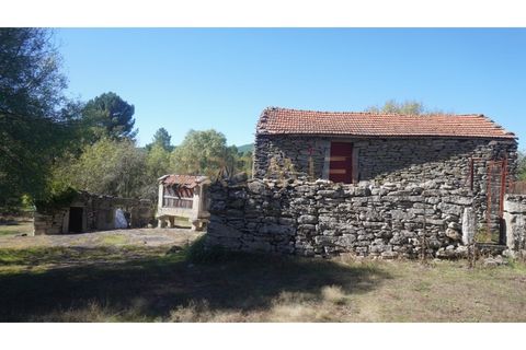 Farm i Vila Real, Vila Real, Vila Real - € 154.000 | Ref: MAS_78 - foto 5