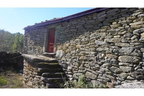 Farm i Vila Real, Vila Real, Vila Real - € 154.000 | Ref: MAS_78 - foto 6