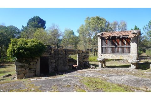 Farm i Vila Real, Vila Real, Vila Real - € 154.000 | Ref: MAS_78 - foto 7