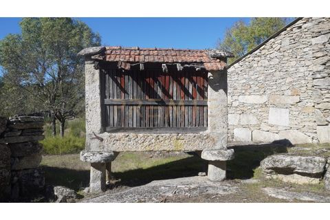 Farm i Vila Real, Vila Real, Vila Real - € 154.000 | Ref: MAS_78 - foto 8