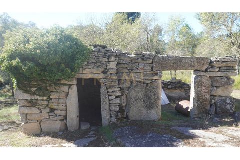 Farm i Vila Real, Vila Real, Vila Real - € 154.000 | Ref: MAS_78 - foto 14