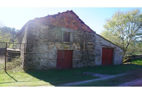 Farm i Vila Real, Vila Real, Vila Real - € 154.000 | Ref: MAS_78 - foto 16