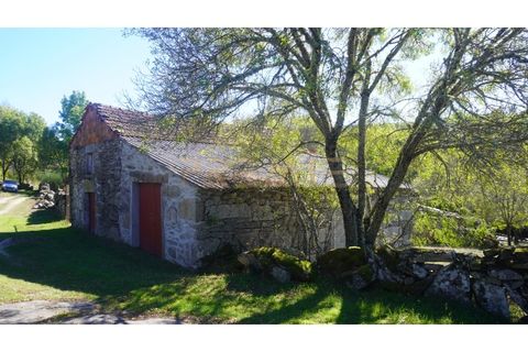 Farm i Vila Real, Vila Real, Vila Real - € 154.000 | Ref: MAS_78 - foto 17
