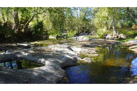 Farm i Vila Real, Vila Real, Vila Real - € 154.000 | Ref: MAS_78 - foto 18