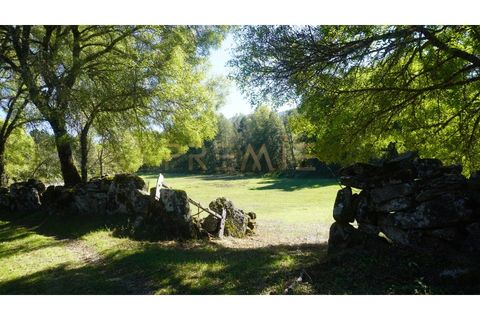 Farm i Vila Real, Vila Real, Vila Real - € 154.000 | Ref: MAS_78 - foto 19