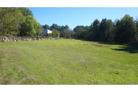 Farm i Vila Real, Vila Real, Vila Real - € 154.000 | Ref: MAS_78 - foto 20