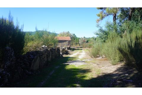 Farm i Vila Real, Vila Real, Vila Real - € 154.000 | Ref: MAS_78 - foto 21