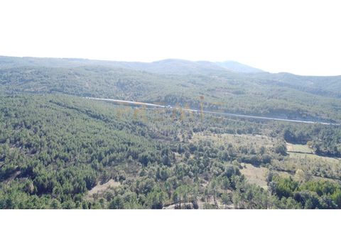 Farm i Vila Real, Vila Real, Vila Real - € 154.000 | Ref: MAS_78 - foto 24