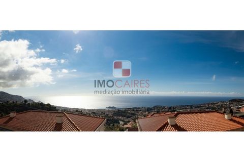 Terra a Sao Roque, Madeira, Sao Roque - € 1.200.000 | Ref: 4543/2023 - foto 2