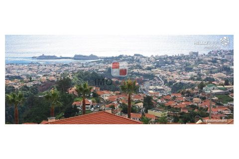 Terra a Sao Roque, Madeira, Sao Roque - € 1.200.000 | Ref: 4543/2023 - foto 3
