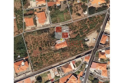 Terra a Sao Roque, Madeira, Sao Roque - € 1.200.000 | Ref: 4543/2023 - foto 4