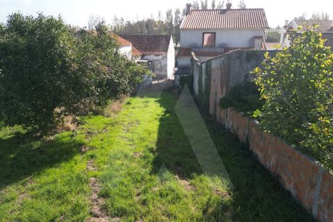 Helårsgrund i Ilhavo, Aveiro, Ilhavo - € 140.000 | Ref: 1011830/23 GL - foto 15