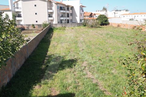 Helårsgrund i Ilhavo, Aveiro, Ilhavo - € 140.000 | Ref: 1011830/23 GL - foto 17