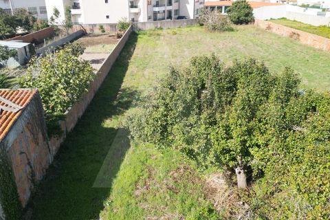 Helårsgrund i Ilhavo, Aveiro, Ilhavo - € 140.000 | Ref: 1011830/23 GL - foto 19