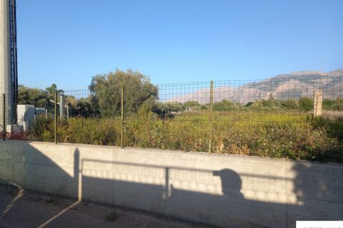 Terra a Carini, Palermo, Carini - € 1.600/mes | Ref: 154/23 - foto 4