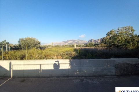 Terra a Carini, Palermo, Carini - € 1.600/mes | Ref: 154/23 - foto 5